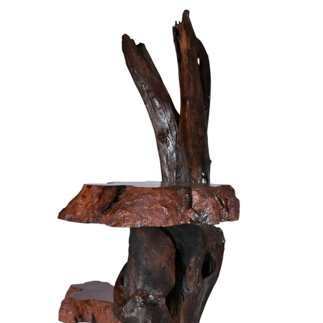 American Large Rustic Live Edge Tree Trunk Plant Stand or Art Pedestal For Sale - Image 3 of 13