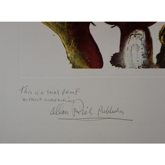 1970s Salvador Dali Memories of Surrealism Surrealist Gastronomy Trial Proof For Sale - Image 4 of 5