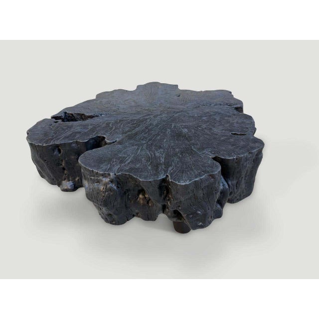 Andrianna Shamaris Charred Mango Wood Coffee Table, Organic Modern Design For Sale In New York - Image 6 of 6