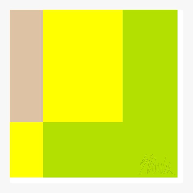 Not Yet Made - Made To Order Two Toned Interactions, Lime Fine Art Print 36" X 36" by Liz Roache For Sale - Image 5 of 5