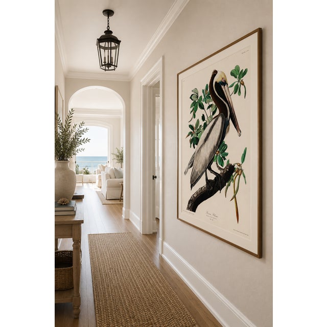 Brown Pelican by Audubon, Vintage Art Print Reproduction, 20" X 30" For Sale - Image 12 of 13