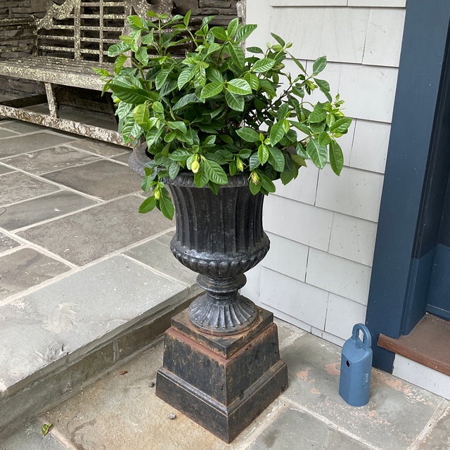 Vintage Pair Heavy Cast Iron Urns on Pedestals. Believed to Be Early 20th Century. For Sale - Image 4 of 7