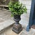 Vintage Pair Heavy Cast Iron Urns on Pedestals. Believed to Be Early 20th Century. For Sale - Image 4 of 7
