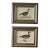 Framed 18th Century Geese Engravings For Sale