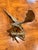 Vintage Brass Eagle For Sale - Image 9 of 11