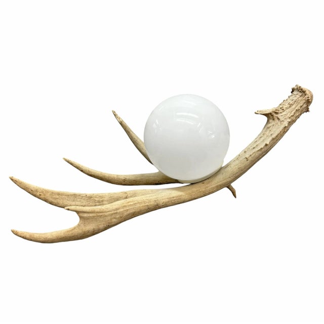 Glass Deer Antler Lamp For Sale - Image 7 of 12