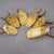Wood Set of Six Roe Deer Trophies on Wooden Slices Germany Ca. 1930s For Sale - Image 7 of 7