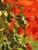 Modern Aubusson Tapestry by Artdad, 1980s For Sale - Image 10 of 18