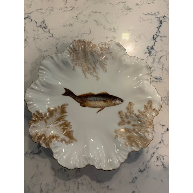Antique Plates Limoges Gold Rimmed (14 Piece Set) For Sale - Image 11 of 17