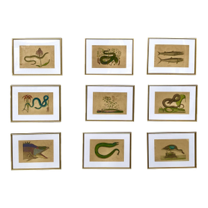 18th Century Framed Engravings by Mark Catesby, Set of Nine Natural History Art