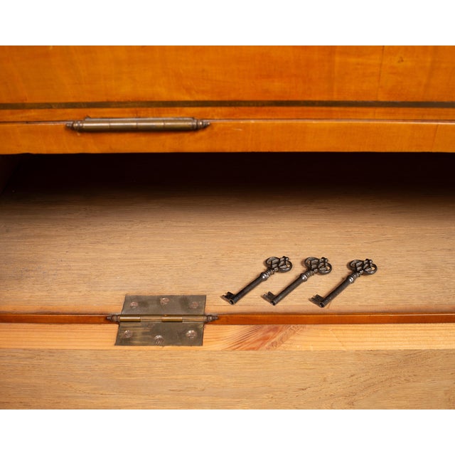 19th Century Austrian Biedermeier Fruitwood Bibliotheque Bookcase For Sale - Image 17 of 18