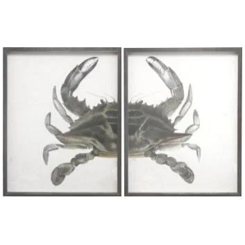 Green & Grey Split Crab in Pewter Frame - Total 40x26 For Sale