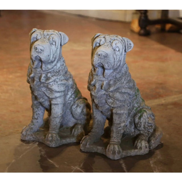 Add a cheerful and distinctive presence to an entrance or garden with this matching pair of vintage Shar-Pei dog...