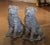 Add a cheerful and distinctive presence to an entrance or garden with this matching pair of vintage Shar-Pei dog...