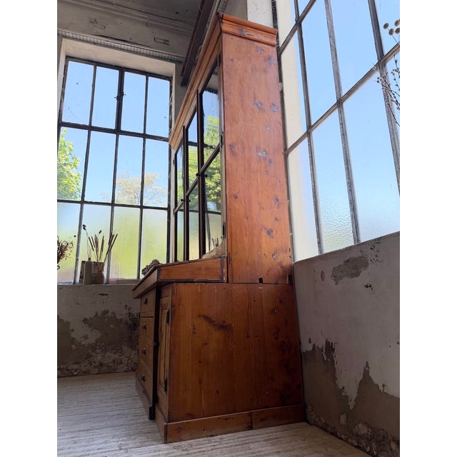 19th Century Napoleon Grocery Store Cupboard For Sale - Image 12 of 18