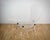 Set of Bird Chair with Ottoman by Harry Bertoia for Knoll International, 1980s, in Very Good conditions. Designed 1950 to...
