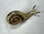 Metal Vintage Figurative Snail Polished Solid Brass Cabinet Knobs, Set of 6 For Sale - Image 7 of 12