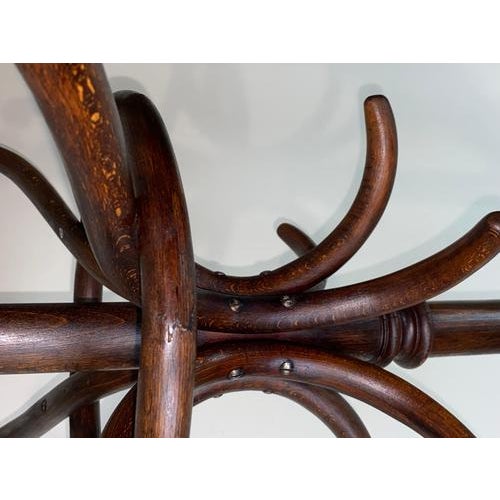 No.6 Floor Hanger from Thonet, 1900s For Sale - Image 6 of 10