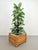 Large Vintage Pine and Earthware Planter, Denmark, 1970, in Very Good conditions. Designed 1970 to 1979