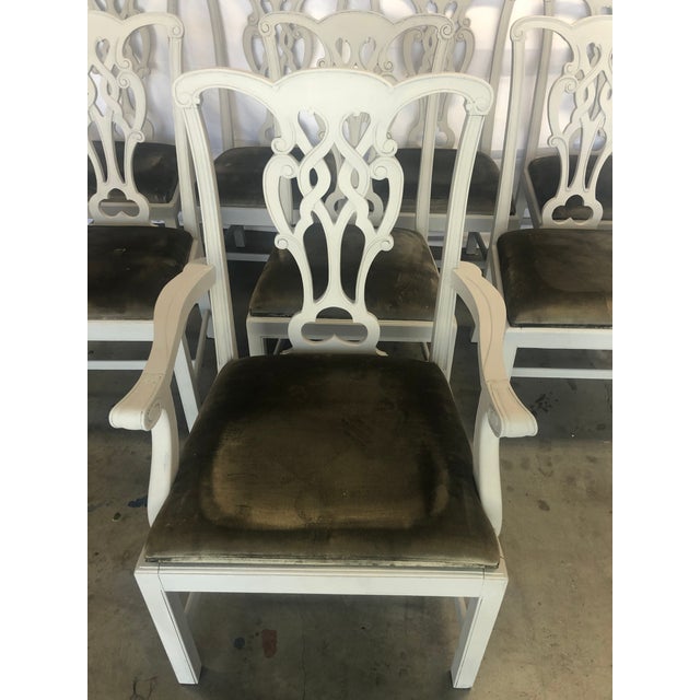 Chippendale Style Painted Dining Chairs Set of 8 Chairish