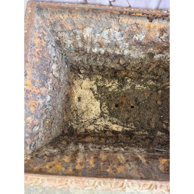 Antique French Cast Iron Jardinière Planter, Louis XVI Style, 1880 For Sale - Image 12 of 13