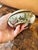 Antique Chinese Porcelain Erotic Trinket Box With Dragon Metal Mount For Sale - Image 9 of 11