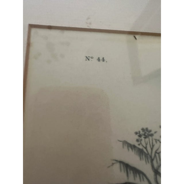 Mid 20th Century Great Blue Heron by John James Audubon – Original Mid-19th Century Lithograph, Framed For Sale - Image 5 of 7