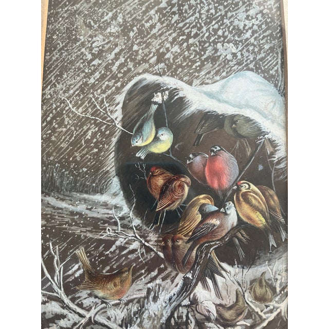 Victorian Era Watercolor Gouache Painting of a cluster of birds snuggled up in order to shield themselves from the snow....