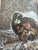 Victorian Era Watercolor Gouache Painting of a cluster of birds snuggled up in order to shield themselves from the snow....
