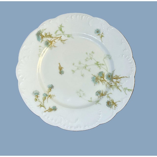 Early 20th Century Haviland & Co. Limoges Schleiger 52s Porcelain Plates – Set of Six For Sale - Image 5 of 8