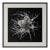 Devil in the Bush Flower — Framed Vintage Botanical Photography Print Inspired by Karl Blossfeldt For Sale