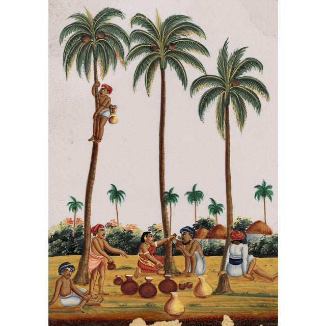 Indian Company School, Toddy Drawing, 1800s, Gouache on Paper For Sale