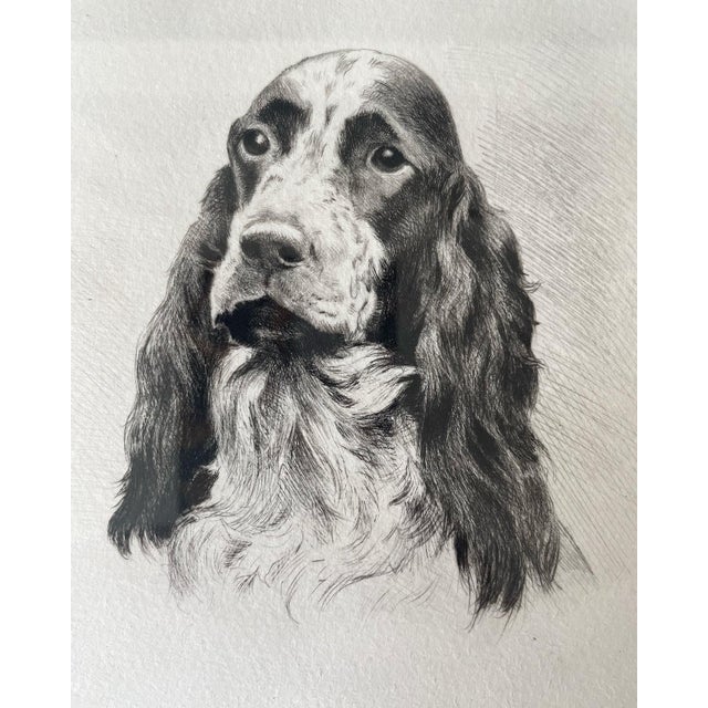 A wonderful and handsome portrait of an English setter. Beautifully matted, and framed and signed by the artist.