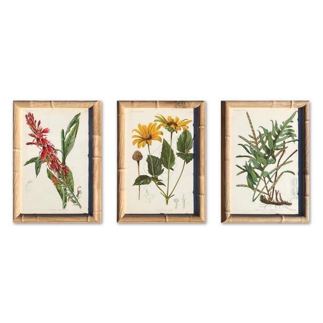 Late 19th Century Framed Antique Chromolithographs Set of 7 From "Wild Flowers of America", Series II Volume Ii, L. Prang & Co., Boston (C. 1879) For Sale - Image 5 of 18
