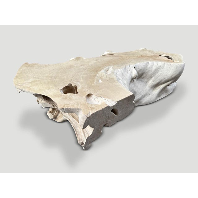 White Andrianna Shamaris Bleached Teak Wood Coffee Table For Sale - Image 8 of 18