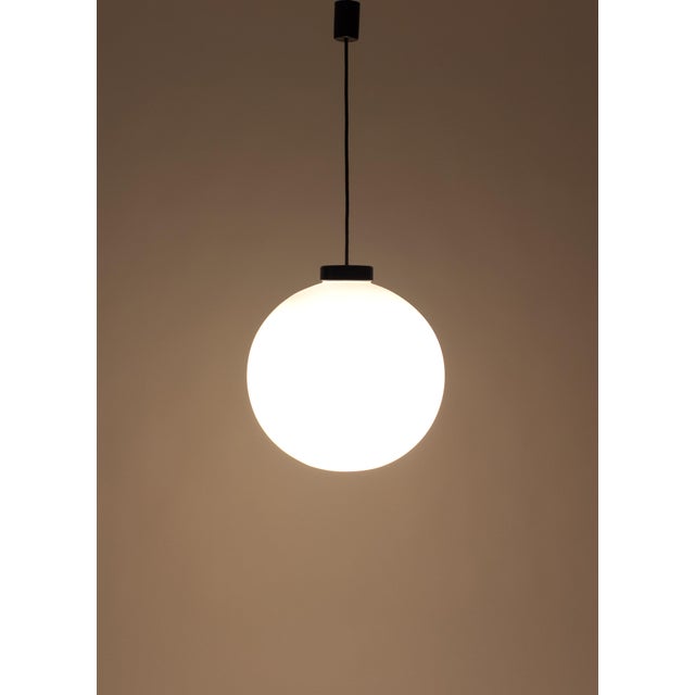 1960s Globo Hanging Lamp by Miguel Milà for Polinax, Spain, 1965 For Sale - Image 5 of 8
