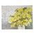Contemporary 1971 Original Oil Painting Impasto Floral Yellow Roses Signed "Blackard"30" For Sale - Image 3 of 10