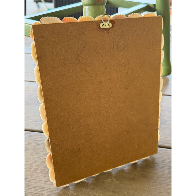 Ivory Vintage Organic Coastal Seashell Wall Mirror For Sale - Image 8 of 9