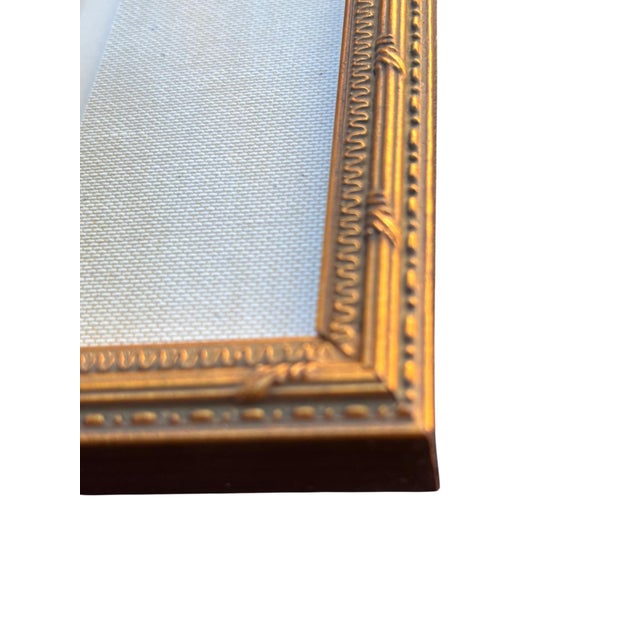 Wood Antique Lydon Morris Hand Colored Seabird Ornithological Prints Framed Set of 3 Circa 1880 For Sale - Image 7 of 12