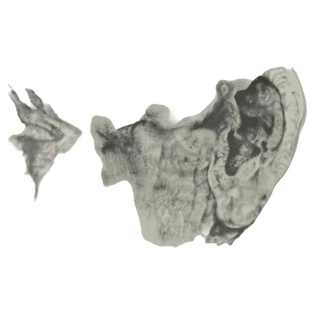 After Renzo Vespignani, The Ears, Phototype Print, 1960s For Sale