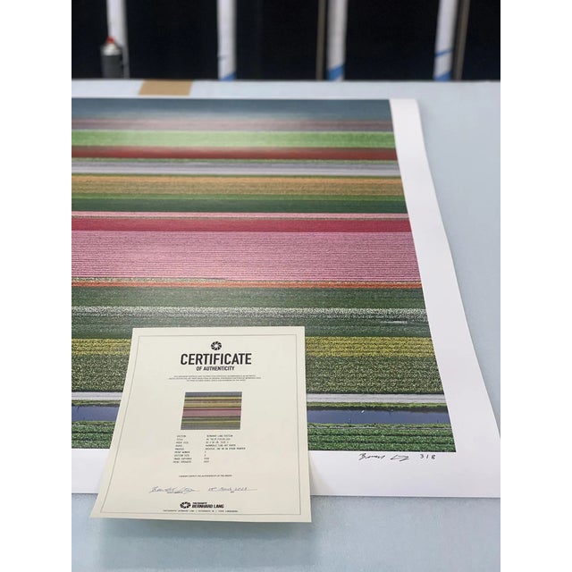 Photography "AV_Tulip_Fileds_014" Contemporary Limited Edition Fine Art Photograph Print by Bernhard Lang For Sale - Image 7 of 10