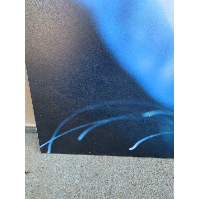 Wood Frank and Gail Zappa Estate 1970s Diva Zappa Jellyfish Photo on Board For Sale - Image 7 of 16