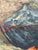 Mid-Century European Impasto Still Life on Canvas by Dutch Artist William Stam For Sale - Image 15 of 16