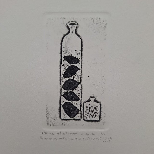 Early 21st Century Jerzy Dmitruk, The Cure for the Pain of Existence (A Visual Documentation of Miracles), 2018, Etching For Sale - Image 5 of 7