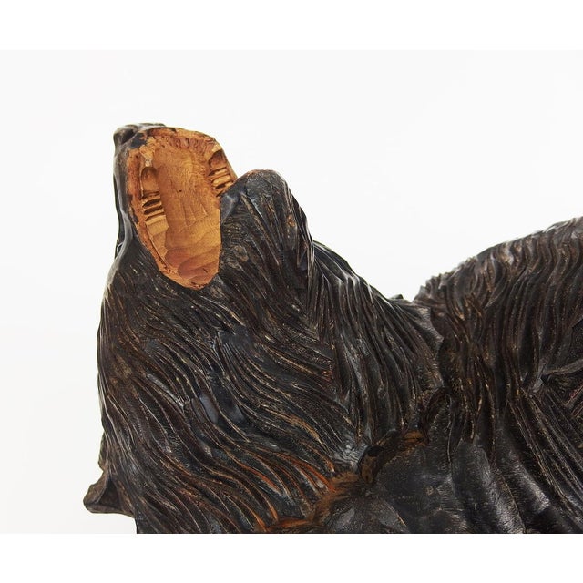 Carved Wooden Ainu Bear, 1960s For Sale - Image 14 of 17