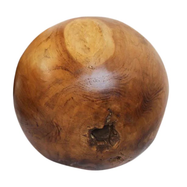 Organic Modern Rustic Teak Root Ball For Sale