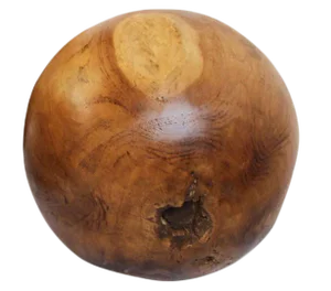 Organic Modern Rustic Teak Root Ball