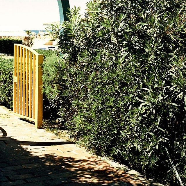 "Lido" is a stunning Archival Inkjet Print in an Edition of 100 in this size by contemporary photographer Morgan Silk....