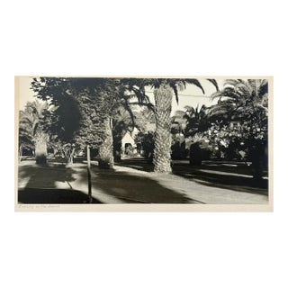 Paul Dunckhorst Sierra Camera Club Submission "Evening on the Avenue" Black & White Photograph c.1950 For Sale