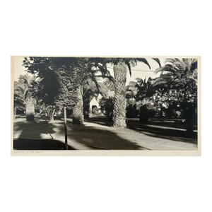 Paul Dunckhorst Sierra Camera Club Submission "Evening on the Avenue" Black & White Photograph c.1950